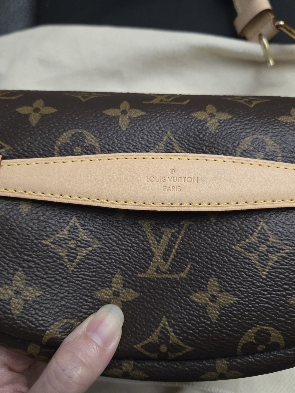 Louis Vuitton Brown Monogram Bumbag - Women - Picture 2 of 3